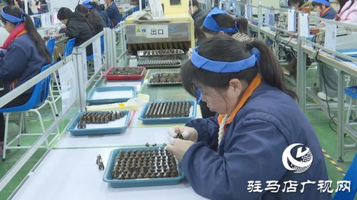 泌陽銘普電子 以科技為引擎，沖刺首季開門紅，引領通信技術新浪潮